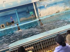 -南昌动物园