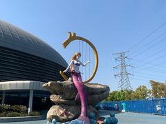 -芜湖新华联大白鲸海洋公园