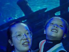 -江和美海洋公园