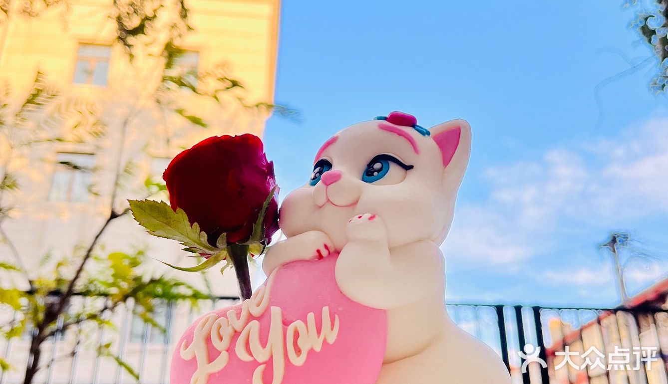 今年生日的快乐被这只翘tun小奶猫承包了[爱心]