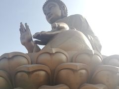 -龙口南山旅游景区