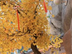 -阿大排档(长春这有山店)