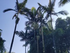 -天赐温泉
