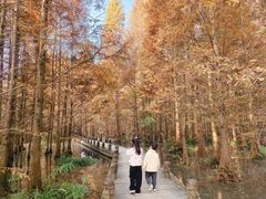 -桤木河湿地公园