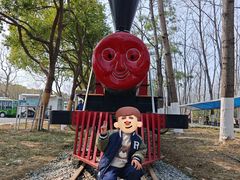 -合肥滨湖国家森林公园