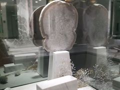 -凤凰汇购物中心