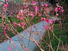 -桃花涧