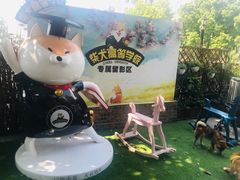 -柴犬高等学院·狗咖·柴犬售卖·宠物训练