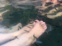 -咸宁万豪温泉谷度假区