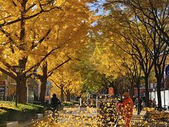 -长白岛森林公园