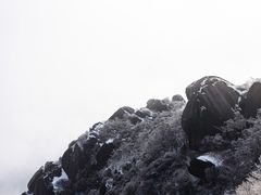 -大围山国家森林公园