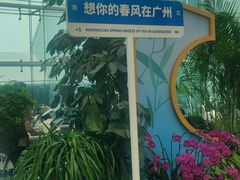 -广州白云国际机场-T2航站楼