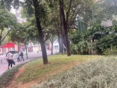 -奈雪的茶(广州万菱汇PRO店)