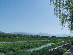 -洨河生态公园