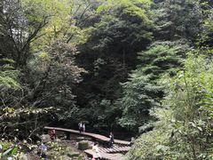-青城山