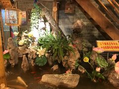 -多哥水傣味餐厅(司马巷店)