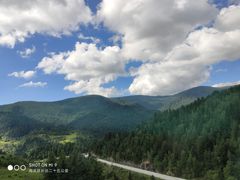 -芦芽山旅游度假区