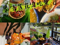 -莲花岛景区