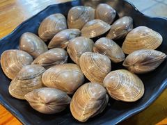 丹东特色烤蚬子-丹东特色烤肉(南光三部店)