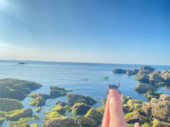 -养马岛旅游度假区