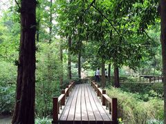 -知味观(湖滨总店)