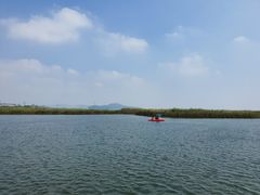 -苏州太湖湖滨国家湿地公园