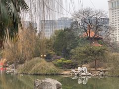 -西苑公园