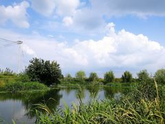 -莲花岛景区