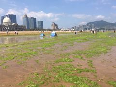 -石老人观光园
