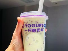 -一只酸奶牛(八一路店)