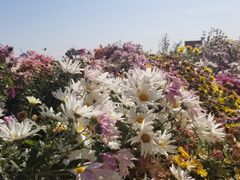 -兴芮温泉度假区