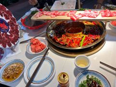 -二荆条·城市森林火锅旗舰店