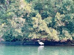 -时光花园(白鹭洲店)