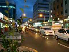 -宝健路步行街(Pedestrian Shopping Street)
