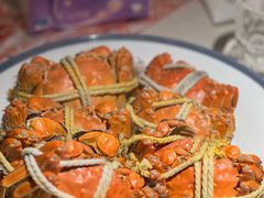 -杨氏青龙虾·羊蝎子(托乐嘉店)