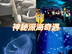 -凤凰中心