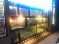 -夜不收荤豆花(大邑总店)