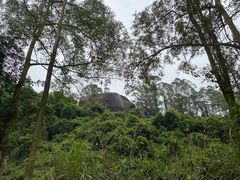 -火炉山森林公园