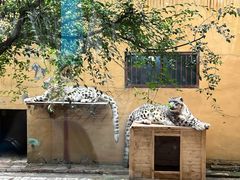 -青藏高原野生动物园