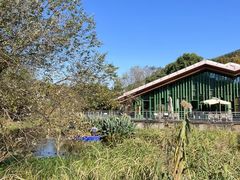 -西湖风景区-江洋畈生态公园