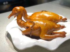 光明卤乳鸽-陈鹏鹏潮汕菜(宝安机场T3航站楼店)
