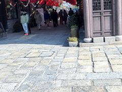 -荷兰花海