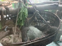 -杭州野生动物世界