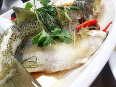 -老乡村美食农庄