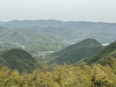 -莫干山风景区