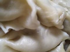 唯一一颗茴香馅-尤素福东举院饺子馆