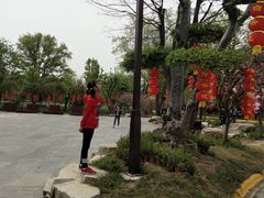 -黄陂区野村谷景区