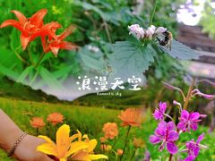 -白草畔自然风景区