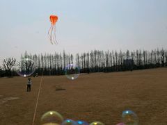 -上海长兴岛郊野公园