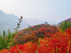 -周口店坡峰岭风景区